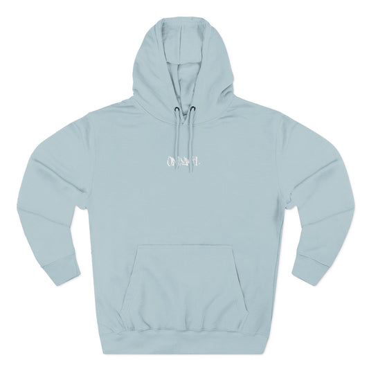 Three-Panel Fleece Hoodie